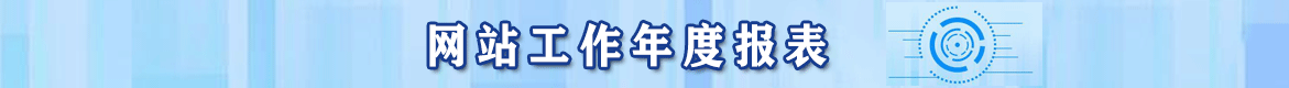 网站工作年度报表