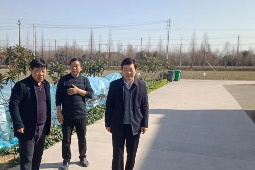 人勤春来早 奋进正当时|王建勇赴越城区走访调研农业灌溉工程